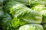 Korean Chinese Cabbage (Baechu)